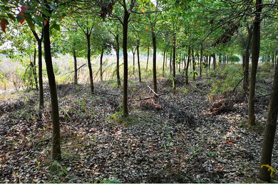 ���Ϸ���վ���¼��g(sh��)�a(ch��n)�I(y��)�_�l(f��)�^(q��)**���B(t��i)��(j��ng)��(j��)�l(f��)չ���޹�˾�����ټ��w�����ϵķ��ݡ��C(j��)���O(sh��)�估��������Y�a(ch��n)�Ј��rֵ�u�����(xi��ng)Ŀ����