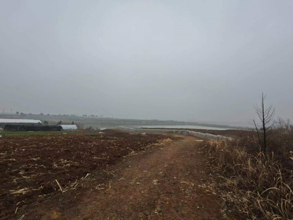 �Ϸ�******���޹�˾���O(sh��)��λ�ںϷ��з����h��ͤ�(zh��n)�S���ٵ���@��(n��i)���깤���Ј�(ch��ng)�r(ji��)ֵ�u(p��ng)��