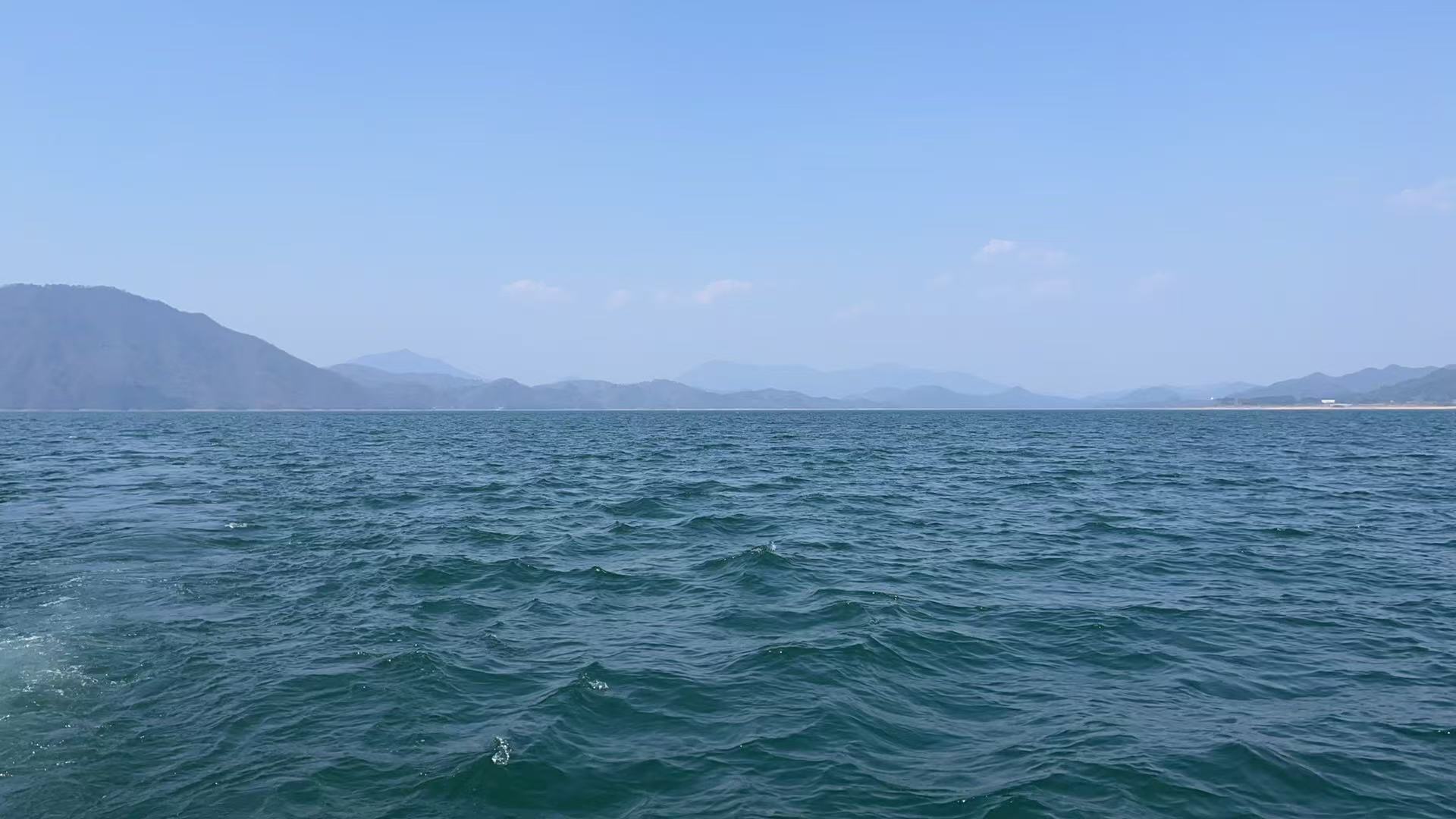 ĳ��Ժ�M��(zh��)��ĳ��˾�ə�(qu��n)�(xi��ng)Ŀ